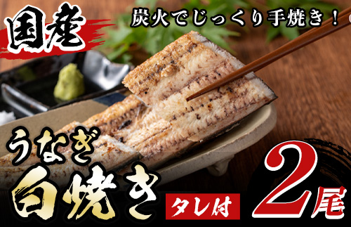 y134 国産！うなぎ白焼き(2尾・タレ付き)  国産 九州産 鰻 ウナギ うな重 うなじゅう 蒲焼 かばやき 白焼 しろやき 土用 丑の日 うな丼 タレ タレ付 おかず 冷蔵 特産品 お土産 ギフト