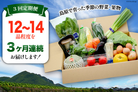BF057 【3回定期便】旬の野菜・フルーツ (12～14品目)・卵 (6個) おまかせ セット【 野菜 果物 卵 やさい くだもの 果物 タマゴ たまご 詰め合わせ 江戸屋 長崎県 島原市 】 レビ