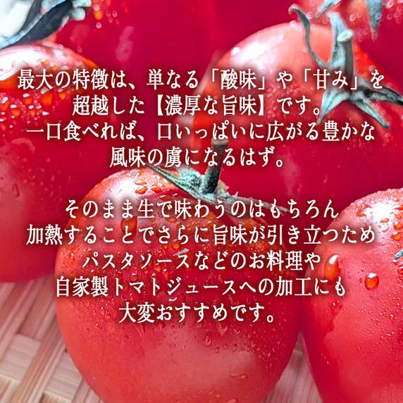 [ クール便 / 冷蔵便 ] 【 NAO's FARM 】 ミニトマト ほれまる 1kg