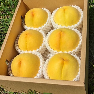 【ふるさと納税】山梨県山梨市産 黄桃 黄金桃 約2kg 5玉～8玉【配送不可地域：離島】