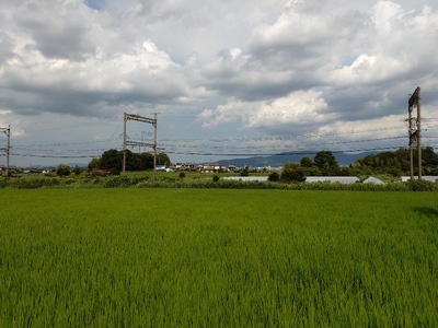 【10月中旬以降発送】【新米】令和7年産ヒノヒカリ『寧楽(なら)の米』玄米5㎏　とも農園 14-055