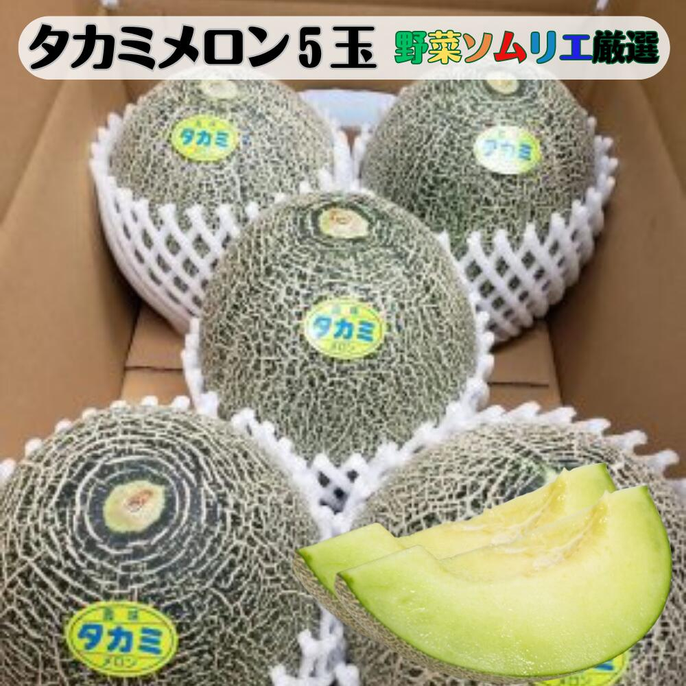 
                  先行予約 道の駅の野菜ソムリエ厳選 タカミメロン 5玉 箱詰め メロン フルーツ 果物 お取り寄せ 渥美半島 産地直送 田原市 送料無料 16000円　めっくんはうす
                
