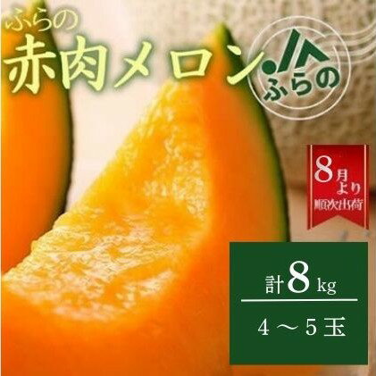【ふるさと納税】2025年夏発送 メロン 北海道 ふらの 赤肉 メロン 2kg×4玉 JAふらの 厳選 産地直送 赤肉 富良野メロン フルーツ 果物 果実 旬 旬のくだもの デザート おやつ ギフト プレゼント 贈答 贈答用 贈答品 贈り物 富良野　お届け：2026年8月上旬～9月下旬