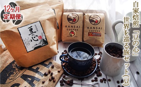 コーヒー豆 定期便 12回 豆の心 世界を巡る旅 コーヒー豆