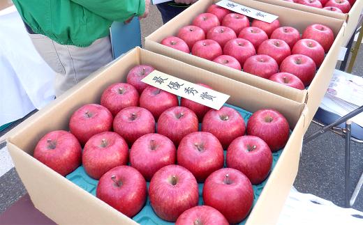 令和元年、南陽市での品評会の様子