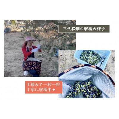 ふるさと納税 土庄町 搾りたて100%小豆島産三代松家オリーブオイル(エキストラバージンオイル)67ml濾過1本 |  | 02