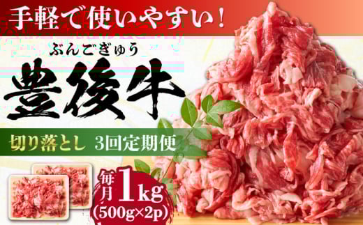 【全3回定期便】【小分けで便利！】おおいた豊後牛 牛肉 切り落とし 1kg (500g×2)  日田市 / 株式会社MEAT PLUS 牛肉 おおいた豊後牛 おおいた 豊後牛 黒毛和牛 赤身 薄切り 切り落とし 和牛 [AREI044]