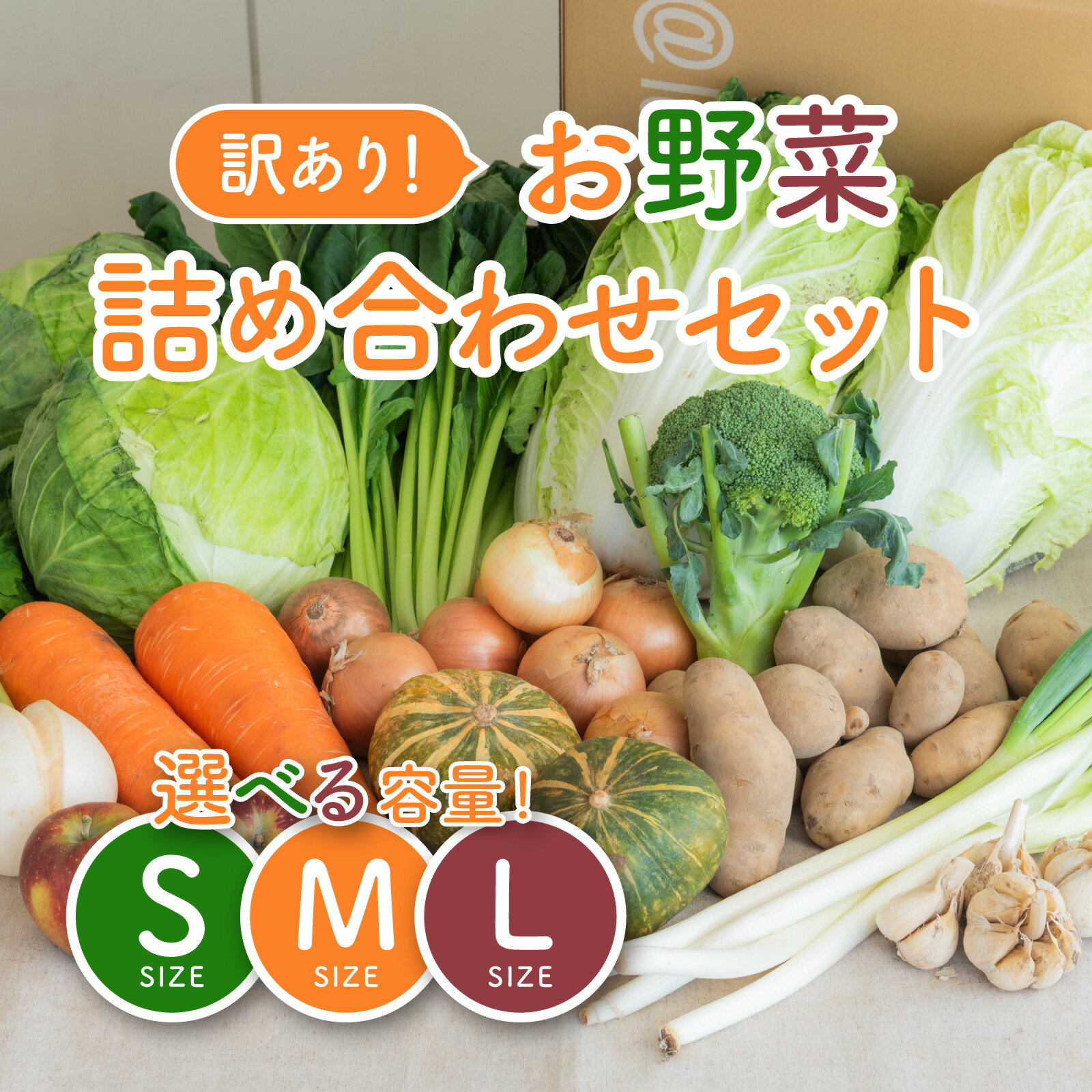 【ふるさと納税】多数のメディアで紹介されました！【訳あり】旬のもったいないお野菜詰め合わせセット[B-16402] / 訳あり 訳アリ ロスヘル 野菜 規格外野菜 冬野菜 やさい サラダ フードロス 果物 くだもの フルーツ 福井県鯖江市