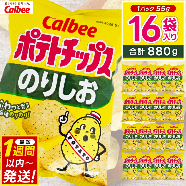 【ふるさと納税】 ポテトチップス カルビー 「のりしお」16袋（55g×16袋）1ケース 総計880g【ポテチ Calbee のり しお セット 菓子 ポテト チップス スナック おやつ じゃがいも ジャガイモ お取り寄せ まとめ買い 詰め合わせ 詰合せ 人気 送料無料】(BG028)