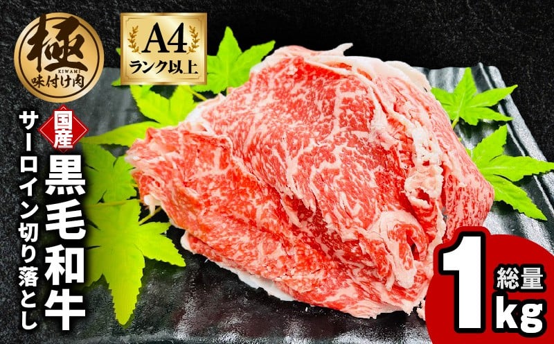 
            【A4ランク以上】黒毛和牛 サーロイン 切り落とし 1kg【250g×4P 小分け 国産 味付き 牛肉 訳あり サイズ不揃い】
          
