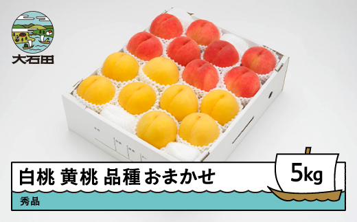 【先行予約】 もも 白桃 有袋黄桃 秀品 詰め合わせ 品種おまかせ 5kg 化粧箱入りフルーツ 果物 アソート 令和8年産 2026年産 山形県産 ns-mohot5