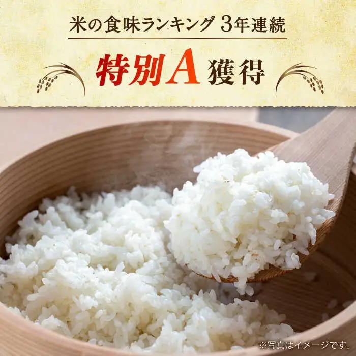 精米 にこまる 5kg×2袋 米 [SDR013]