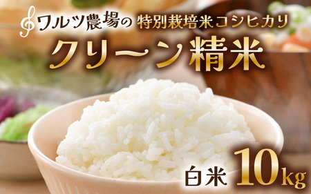 【先行予約】【令和8年産 新米】ワルツ農場のコシヒカリ クリーン精米 10kg（5kg×2袋） 特別栽培米【納得の美味しさ】減農薬 有機肥料使用 / お米 ご飯 白米 発送直前 精米 つや 艶 甘味 旨み 北陸 あわら市産 福井県産 ブランド米 ※2026年10月下旬以降発送予定 [aw046-b004]