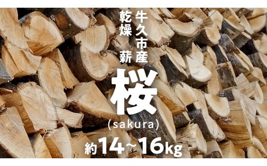 
            牛久市産 乾燥 薪 桜 ( さくら ) 約14kg～16kg 天然木 マキ 乾燥薪 広葉樹 キャンプ アウトドア 焚火 焚き火 薪ストーブ 暖炉 たき火 野外 屋外 バーベキュー薪 ピザ窯の薪 グリル焼
          