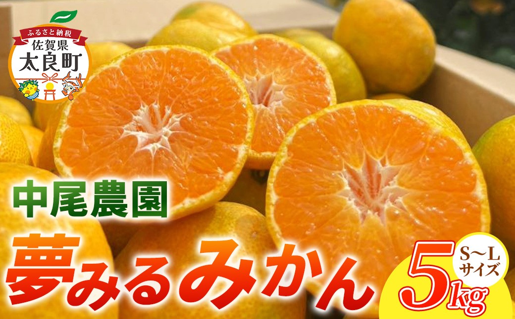 
                  NA10x1 中尾農園の夢みるみかん（S-L）５kg 【2026年10月中旬~2027年1月下旬発送予定】温州みかん 早生 温州 みかん ミカン 蜜柑 温州蜜柑 温州ミカン フルーツ くだもの 果物 ミネラル豊富 太良町 国産 贈答用 月の引力が見える町 太良町 ふるさと納税 返礼品 みかん さがみかん 太良みかん 温州みかん マルチ栽培 夢見るみかん 産地直送 おいしい
                