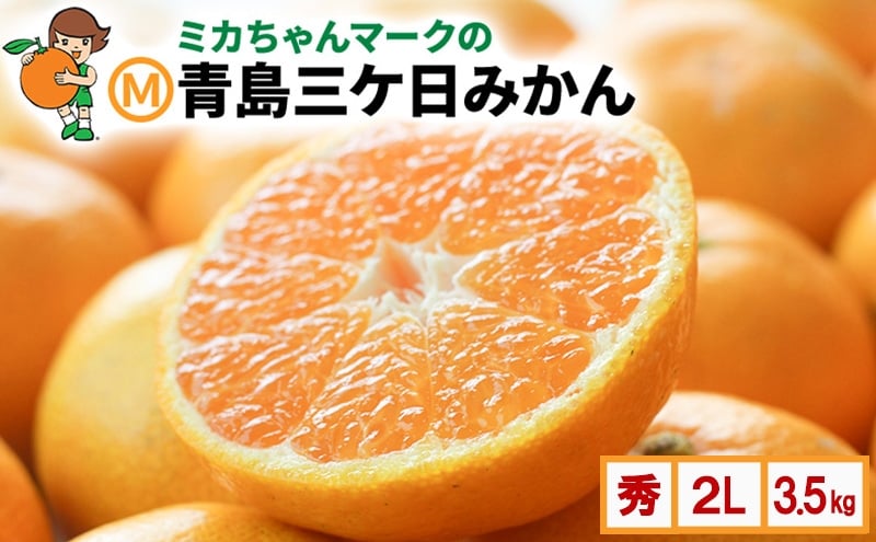 
            ミカちゃんマークのマルエム青島三ヶ日みかん 秀 2L 3.5kg（約20個） みかん ミカン フルーツ 果物 浜松市[№5360-0537]
          