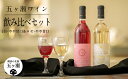 【ふるさと納税】 五ヶ瀬ワイン 飲み比べセット （ 白 ・ やや甘口 ＆ ロゼ ・ やや甘口 ） 720ml 各1本 (計 2本 ) | 五ヶ瀬ワイナリー　ワイン 白ワイン ロゼワイン デラウエア キャンベルアーリー 国産 宮崎 五ヶ瀬町産 五ヶ瀬町産ぶどう100％