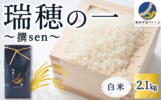 みずほファーム「瑞穂の一 “撰sen”」白米2.1kg 2024年10月20日より順次出荷予定