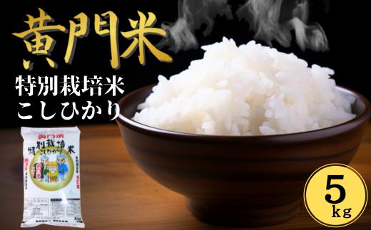 コシヒカリ 特別栽培米【3～5営業日発送】 黄門米 白米 5kg R7年産 通常便 1回 | コシヒカリ こしひかり 茨城県特別栽培農産物認証米 米 コメ こめ 白米 精米 5kg 5キロ 有機肥料 米糠 大豆粉砕 農薬 抑えた 低農薬 健康 体 やさしい 高品質 お米 ご飯 美味しい米 ブランド米 特産物 認証 人気米  茨城県産 常陸太田市 タツミ米穀