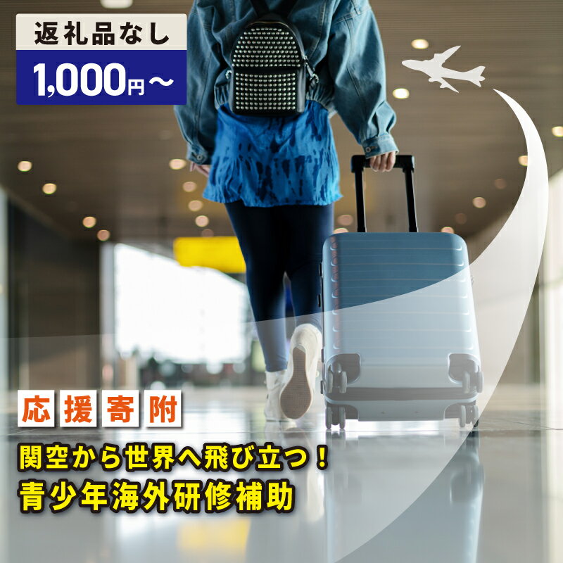 【ふるさと納税】【返礼品なし】 関空から世界へ飛び立つ 青少年海外研修補助 応援寄附 寄附額 1000円 10000円 30000円 50000円 100000円 青少年 こども 海外研修 外国研修 海外 外国 研修 補助 語学 語学力向上 異文化理解 地域支援 寄附のみ 寄附 支援 大阪府 泉佐野市