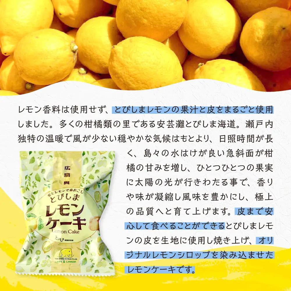 レモンケーキ1箱(5個入)　ku118-026-r
