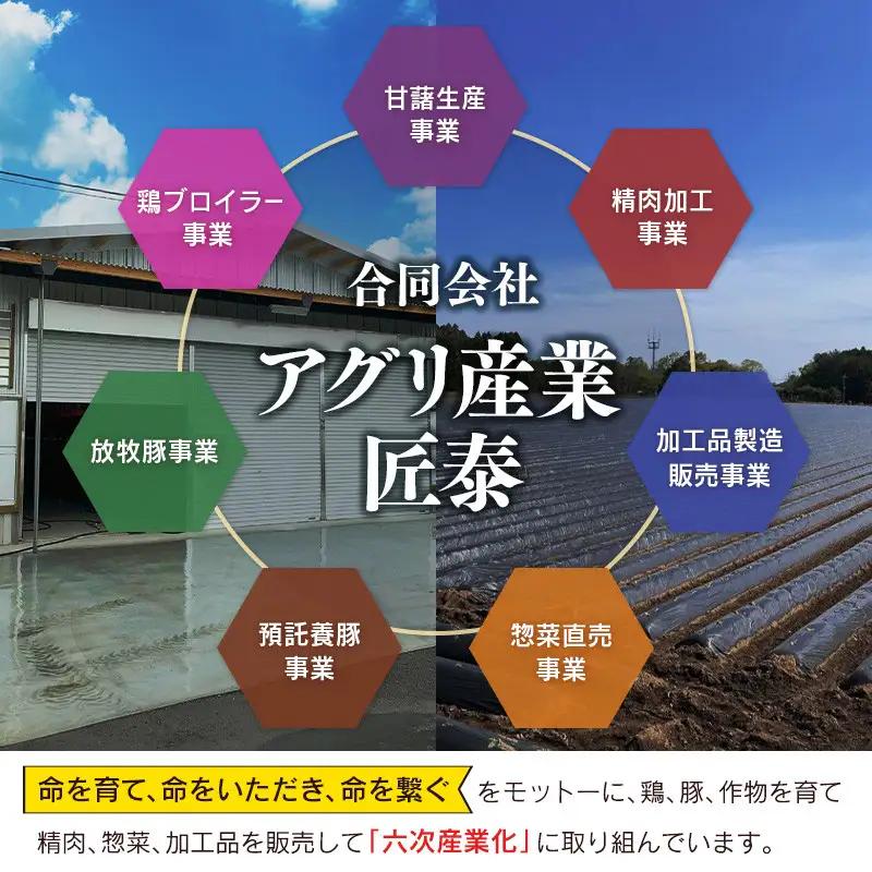 宮崎県産 黒毛和牛切落し（500g×2パック）合計1kg【B613】