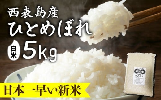 令和8年産の新米ひとめぼれ(白米)5kg【米・白米・新米・ひとめぼれ】 5kg
