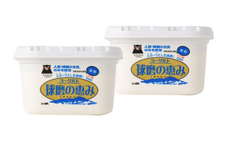 【14営業日以内発送予定】球磨の恵みヨーグルト 加糖 1kg×2パック  合計2kg 