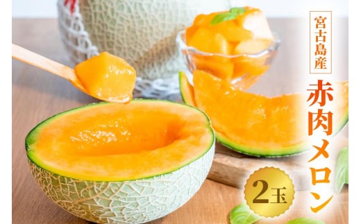 
                  【2026年冬先行予約】宮古島産 赤肉メロン 2玉 【農家直送】 ＜とみお農園＞（TN02）
                
