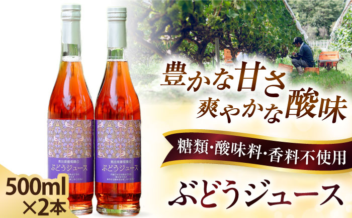 
            奥出雲葡萄園 ぶどうジュース2本セット ぶどうジュース ぶどう ブドウ 葡萄 セット ストレートジュース 国産 果汁 果物 産地直送 飲料 くだもの フルーツ ストレート ジュース 贈答 奥出雲 贅沢 島根県雲南市/有限会社奥出雲葡萄園 [AICS032]
          