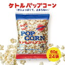 【ふるさと納税】デイリー ケトルパップコーン シュガー＆ソルト味 60g×24袋［ポップコーン,映画］　【 ポップコーン お菓子 スナック あまじょっぱい パーティー バーベキュー BBQ ボリューム満点 】