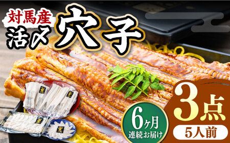 【全6回定期便】対馬産 活〆 穴子 ３点 セット D 新鮮 あなご 刺身 天ぷら 海鮮 5人前  [WAS016]