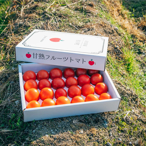 〈2025年12月下旬～順次発送〉フルーツトマト 原田農園 約1、800g（大箱）