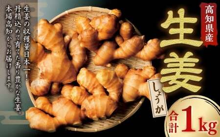 高知県産 香り大生姜 1kg ／ 大生姜 生姜 しょうが 野菜 ジンジャー 薬味 高知県 香美市 常温