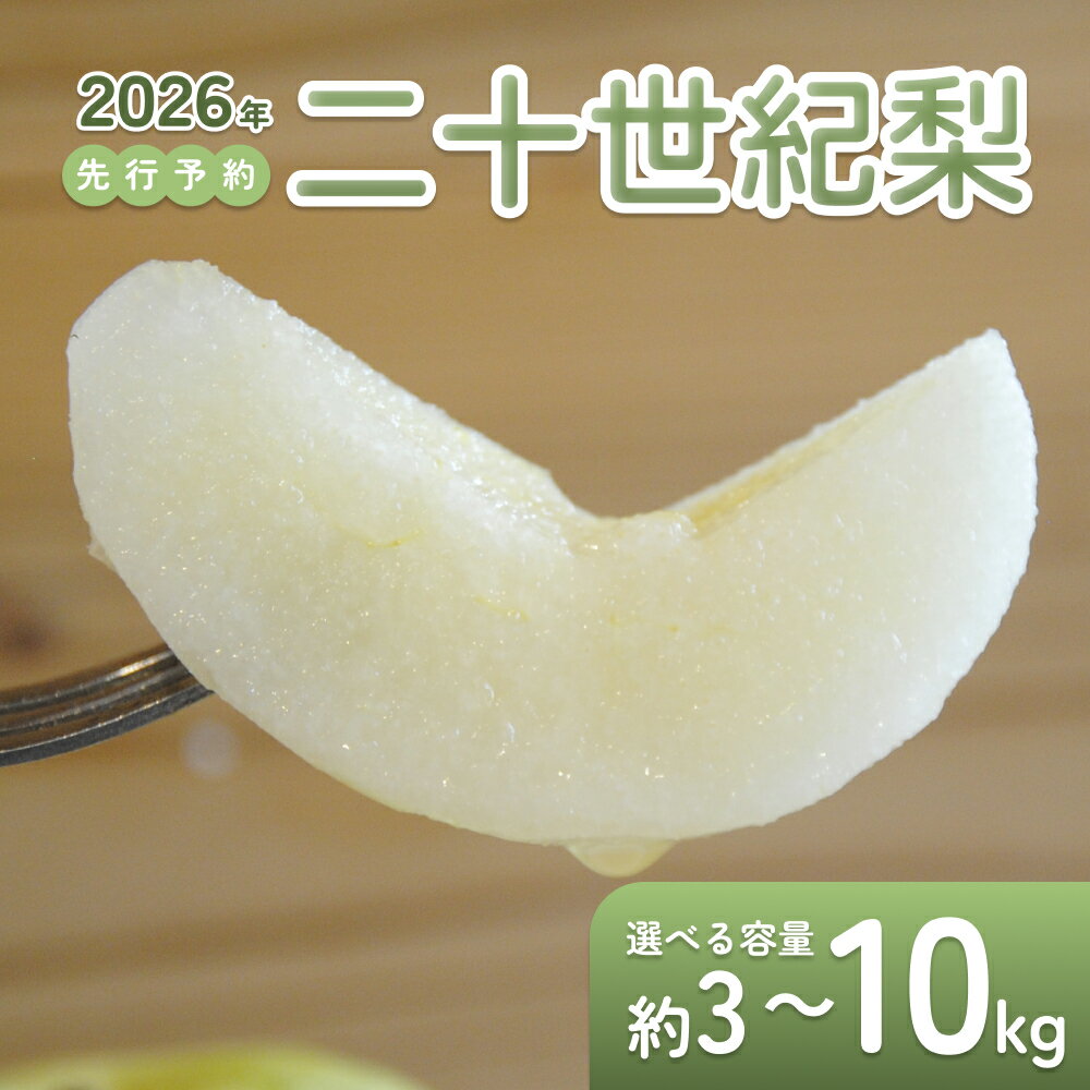 【ふるさと納税】【2026年 先行予約】二十世紀梨 3～10kg｜鳥取 東光園 梨 2026年収穫後 2026年8月下旬～9月頃順次発送※着日指定不可