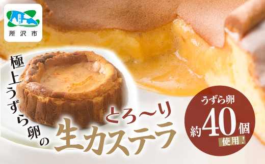 生カステラ 極上うずら卵のとろ～り生カステラ 1箱 | 生カステラ カステラ 卵 うずら うずらの卵 濃厚 クリーミー スイーツ お菓子 焼き菓子 洋菓子 和菓子 デザート おいしい おすすめ お土産 ギフト 贈答品 うずら屋 埼玉県 所沢市