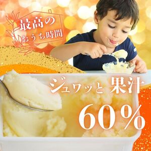 アイス 河内晩柑 1000ml アイス 武田屋 河内晩柑