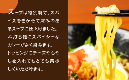 カレーラーメン 3食（100g×3 スープ付）×2箱 計6食【丸中製麺所】ラーメン 自家製麺 飛騨 下呂市 カレー 生麺 生めん【29-14】