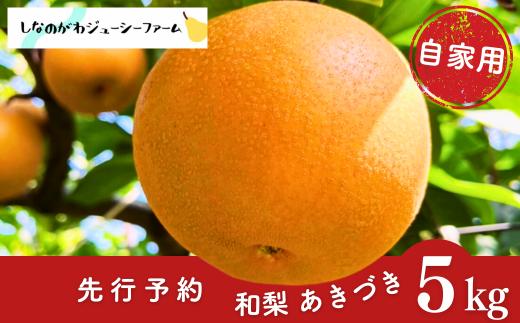 先行予約 和梨 あきづき 自家用 約5kg 2026年産 令和8年度産 あきづき 新潟県 三条市産 あきづき梨 秋月 [しなのがわジューシーファーム]【010S488】