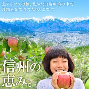 ＜26年９月下旬頃～発送 先行予約＞長野県産 りんご シナノピッコロ 訳あり 約3kg リンゴ 旬 フルーツ 訳アリ 林檎 果物 規格外 自家用 産地直送 農園 産直 お取り寄せ もぎたて 採れたて 