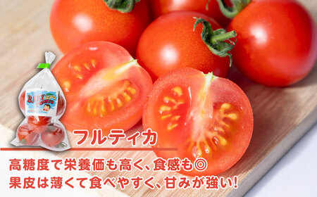 ミディアムトマト 8袋（2種×4袋）《壱岐市》【ISLAND FARM】 トマト 生鮮 野菜 夏 10000 10000円 1万 [JFL001] コダワリトマト こだわりトマト おすすめトマト おス