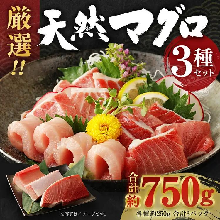 天然マグロ 3種 約750g 【まぐろ】ge002