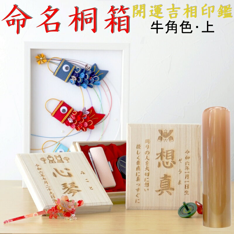 【ふるさと納税】命名桐箱印鑑セット 出産祝い 贈り物 お祝い プレゼント 山梨県 甲斐市 W-27