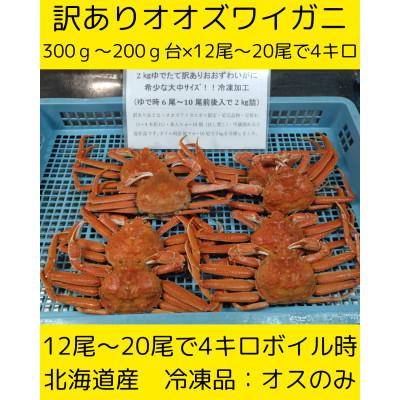 ふるさと納税 白老町 訳ありオオズワイガニ(大中サイズ)12尾から20尾で4kg　冷凍便