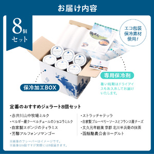 定番のおすすめジェラート8個セット