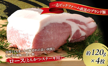 豚肉 一志SPポーク とんかつ・ステーキ用 国産 豚肉【ロース約120g×4枚】【冷凍】