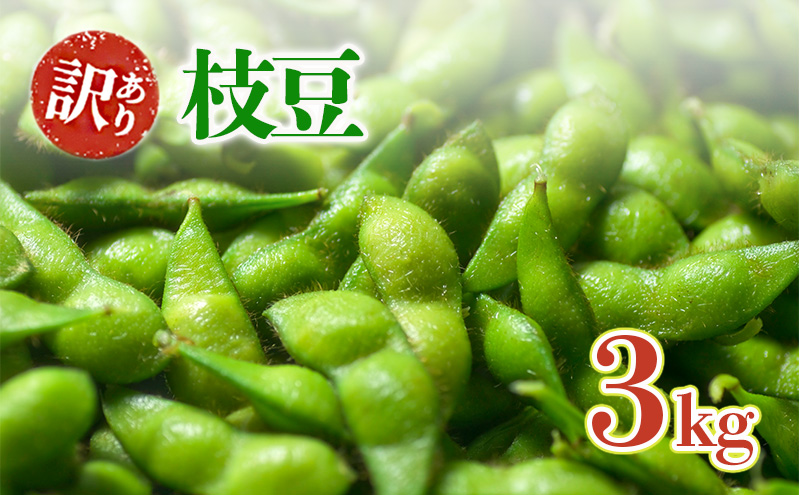 はちしろ農園　訳アリ枝豆 約3kg