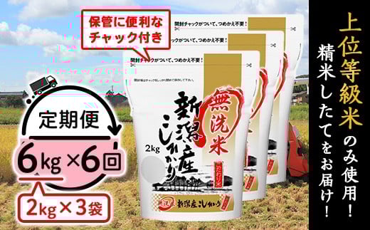
                  31-M66【無洗米】新潟県産コシヒカリ6kg（2kg×3袋）【6ヶ月連続お届け】
                