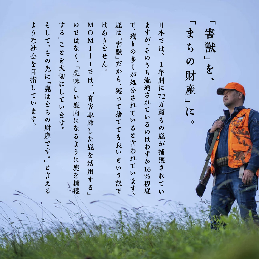 【ジビエ】【失敗なし！子供から大人まで大人気の味付け】大槌鹿の鹿ジン（鹿肉ジンギスカンのタレ漬け）400g 岩手県産 天然鹿 鹿肉 味付肉 ジンギスカン ジビエ ヘルシー 低カロリー つまみ おかず 