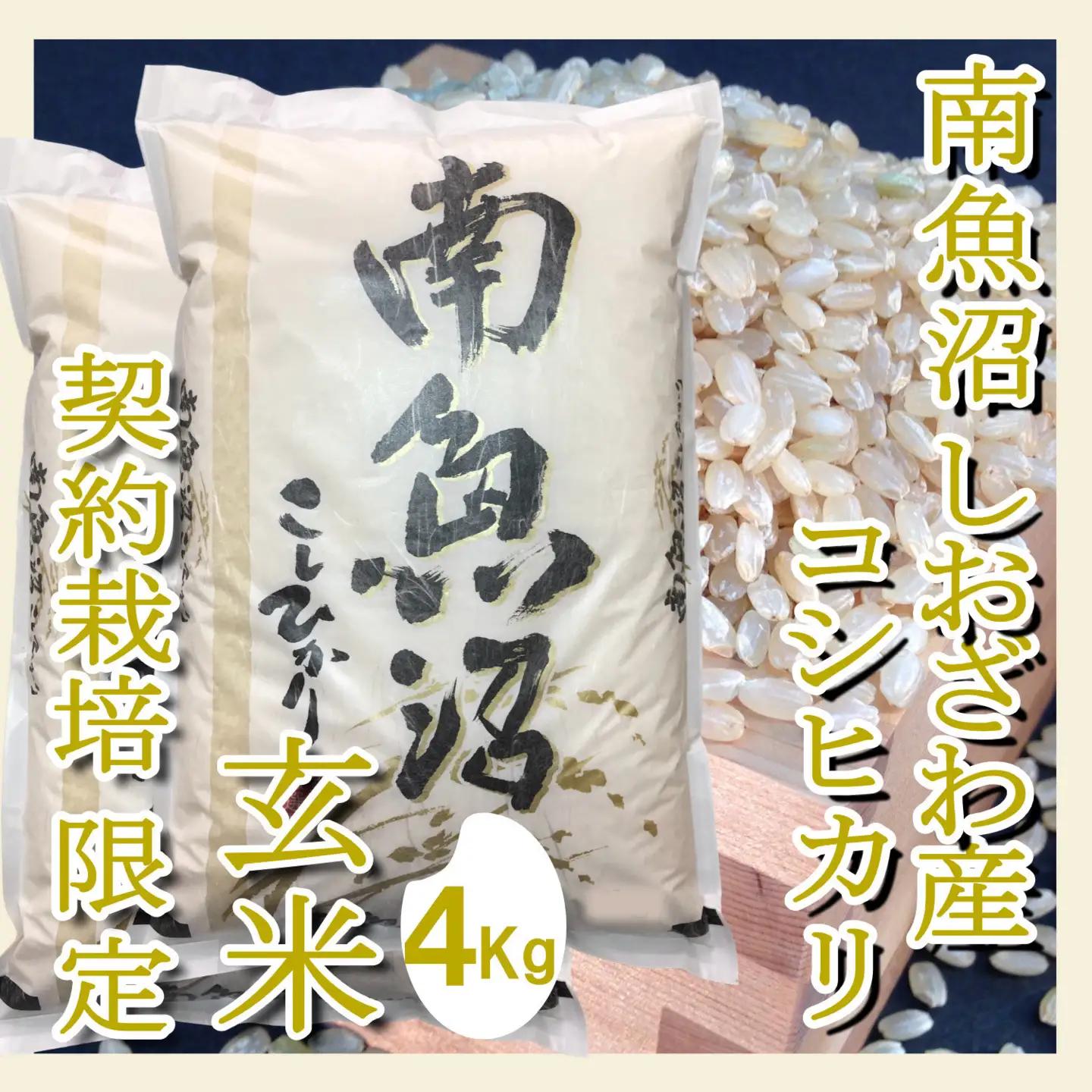 【令和7年】【定期便4Kg×6ヶ月】●玄米●生産者限定 南魚沼しおざわ産コシヒカリ｜玄米